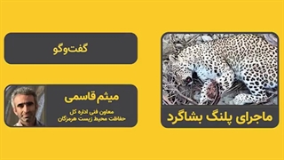 ماجرای پلنگ بشاگرد، گفت‌وگو با میثم قاسمی