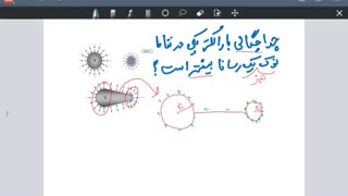 چرا چگالی توزیع بار الکتریکی، در نقاط نوک تیز یک رسانا بیشتر است؟