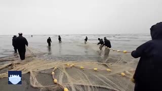 «صید پره»؛ کهن، سخت، کم‌سود