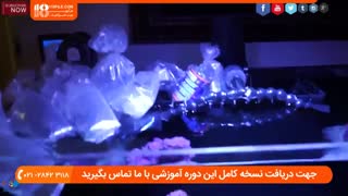 جزئیات راه اندازی آکواریوم آب شور در منزل