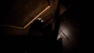 بازی Resident Evil 3 برای PS4 ||| فروشگاه bazi-psn.ir
