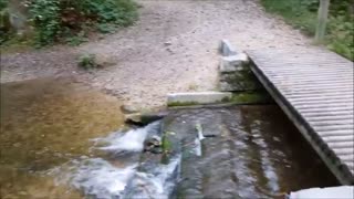 نگاهی به دقیق دوربین دیجیتال کانن مدل EOS 4000D BODY