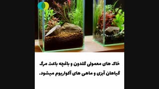 گیاهان آبزی