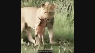 کیا اینجورین:))))