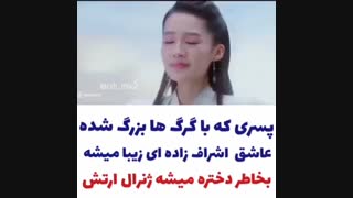 میکس سریال چینی گرگ