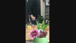 آموزش باریستا