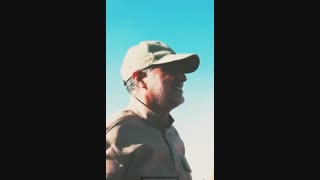 سردار دلها