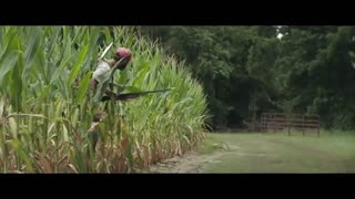 تیزر فیلم سینمایی شاهین کره بادام زمینی