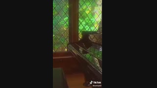 Winter bear _ Kim Taehyung