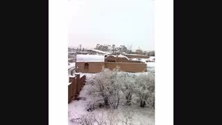 حکایت شنیدنی از ننه سرما و علت نامیدن شب چله (با صدای مریم اسفندیاری)