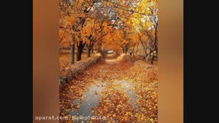 دکلمه  خداحافظی تلخ با صدای مریم اسفندیاری