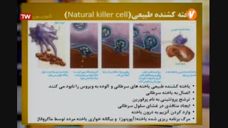 دومین خطوط دفاع غیراختصاصی