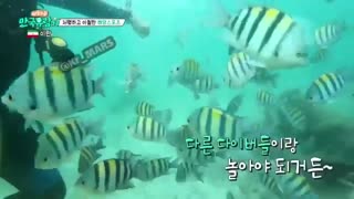 کره ای ها در ایران قسمت 9