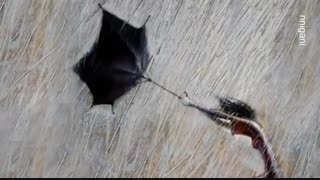 عاشقانه خاص  در قاب نقاشی