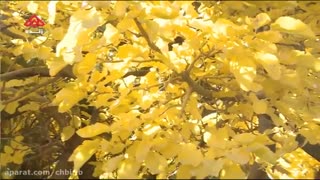 شهرستان فارسان