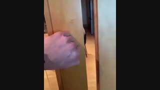 جواب چالش*چالش اسم نداره*