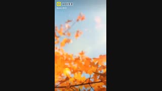 کلیپ زیبا wheein and moon dyul