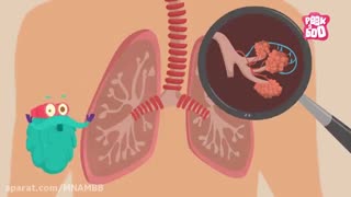 بهترین راه نفس کشیدن