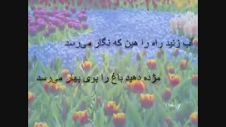 آب زنید راه را محمود علیقلی