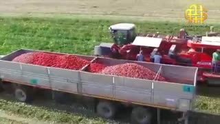 معرفی مجموعه شرکت های طراوت نوین