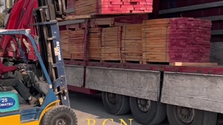 بزرگ ترین و اصلی ترین مرجع تخصصی تولید انواع فینگرجوینت در ایران