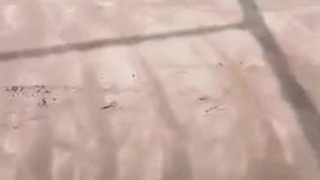 WhatsApp : +9891201505650سقف عرشه فولادی