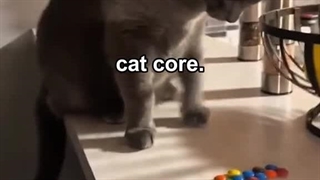 خنگای کیوت ^~^ من پیشیییی میخواممممم :(