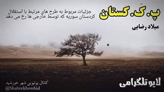 اتحاد جدید بین دولت سوریه و کُردهای سوریه، آغاز طرح اولیه استقلال کردستان سوریه( شهرخورشید)