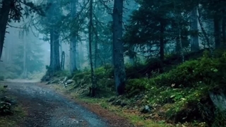 A big party ☘️ +کپ