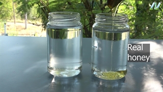 آزمایش تشخیص عسل طبیعی با آب سرد