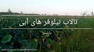 تالاب حمید آباد ساری