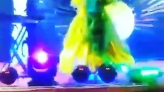 درخشش بینهایت استاد رزیتا دغلاوی نژاد در برج میلاد تهران