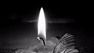 شمع خندان؛ شاعر حسن جعفری