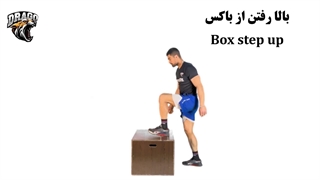 حرکت بالا رفتن از باکس بدون پرش [Box Step-Up]