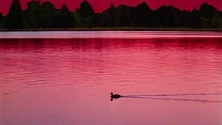 Lyrick Studios logo (1998-2001, movie version)