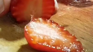 خشک کردن توت فرنگی در منزل با دستگاه خشک کن میوه